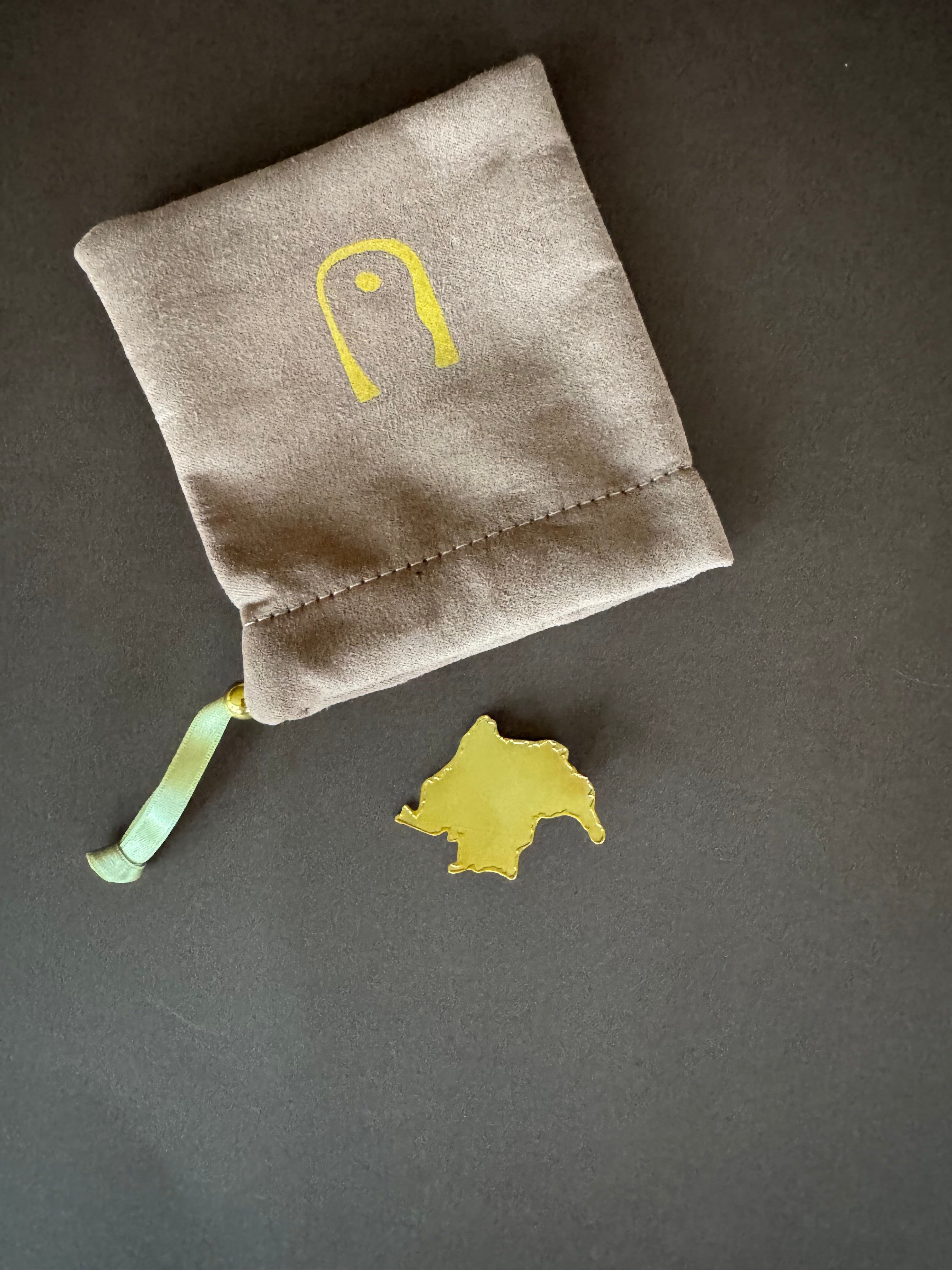 I AM COLOMBIA BROOCH